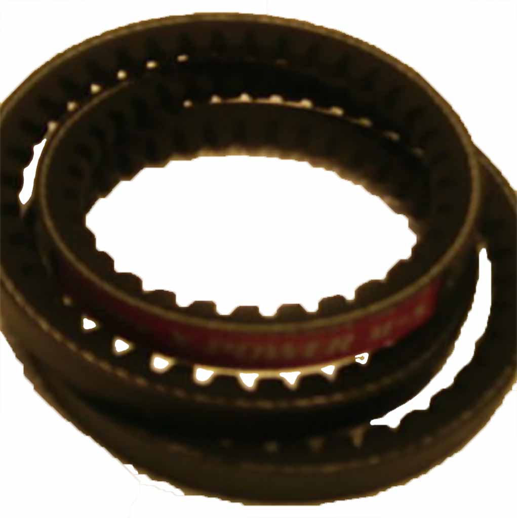 Alternator Belt Beta43 / Beta50